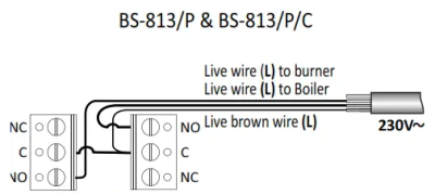 BS-813 SX