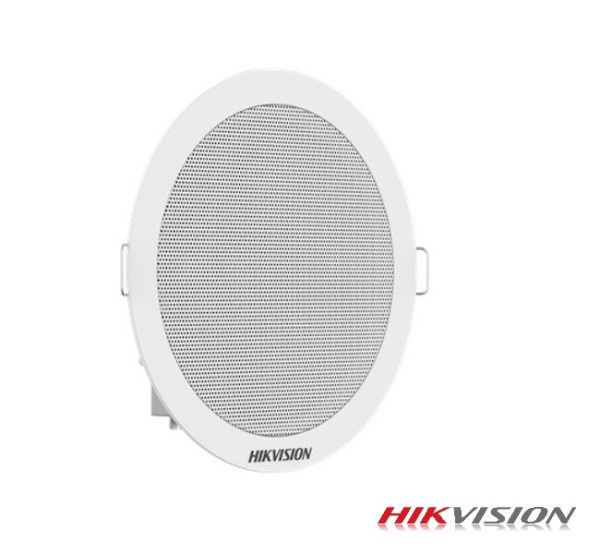 DS-QAE0206G1V